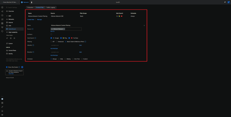 UDM SE Content Filter Options