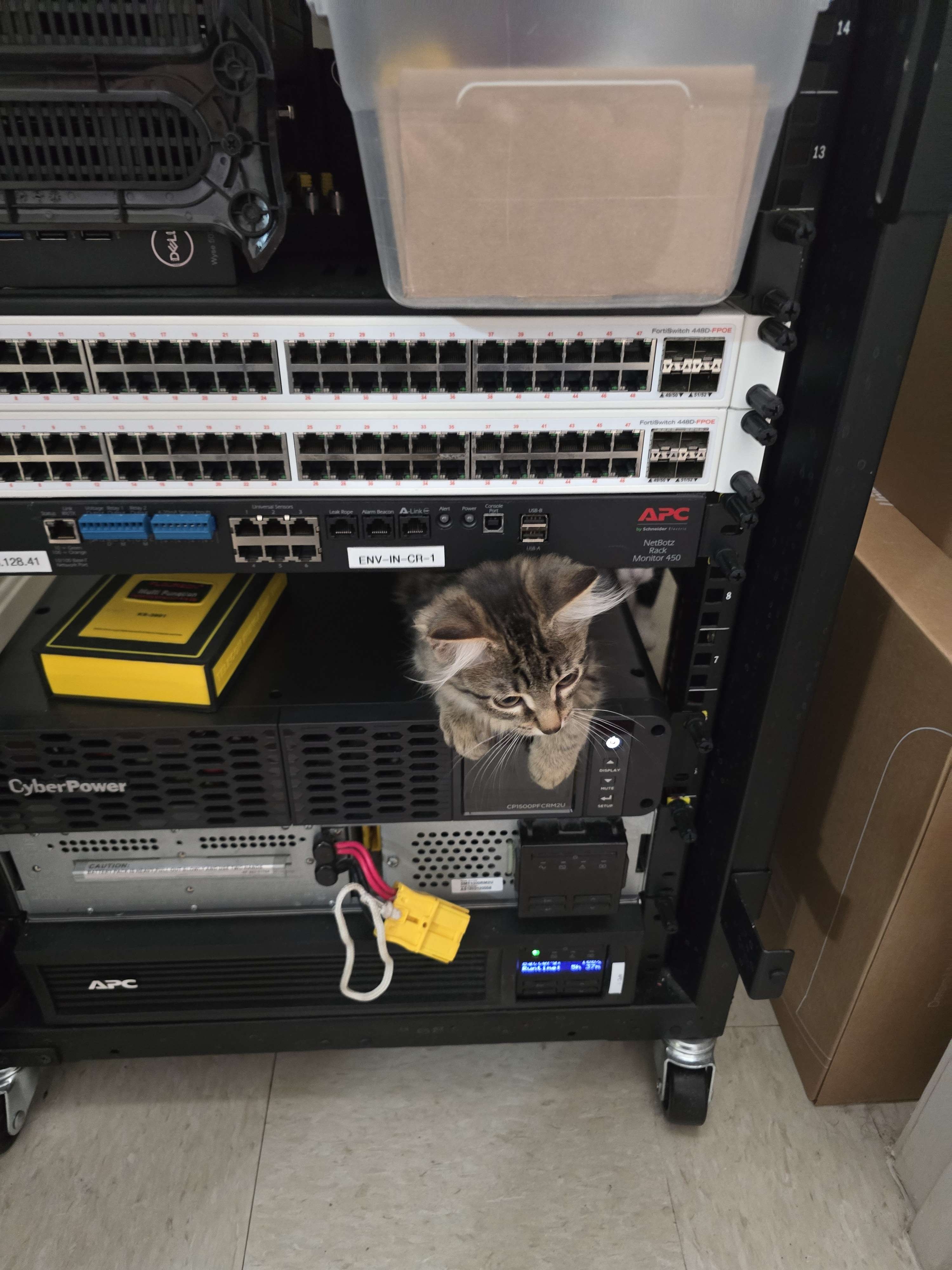 Home Lab Photo 222