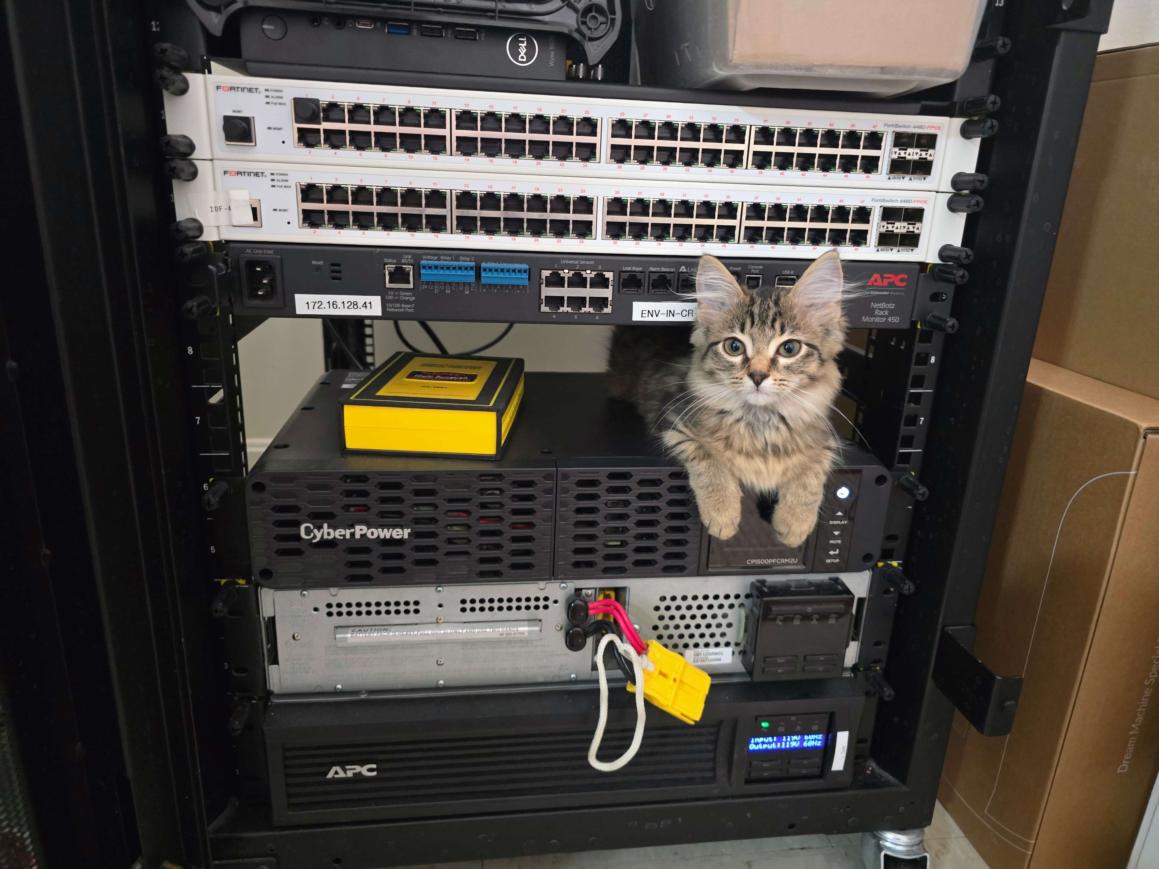 Home Lab Photo 225
