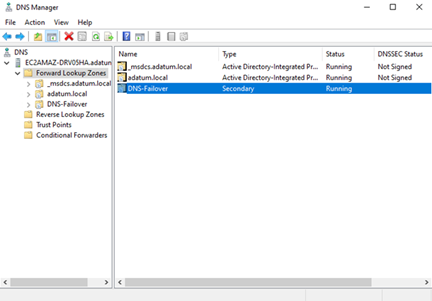 DNS Manager Screenshot
